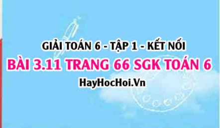 Giải bài 3.11 trang 66 Toán 6 Tập 1 SGK Kết nối tri thức